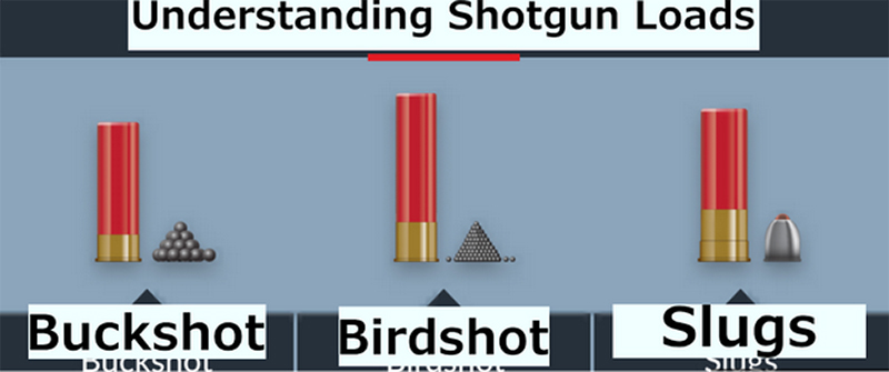Understanding  Shotgun Loads