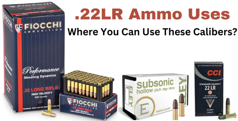 .22LR Ammo Uses