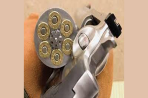 Common Firearms That Fires  44 Mag Ammo