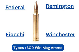 Most Popular 300 Win Mag Ammo Brands