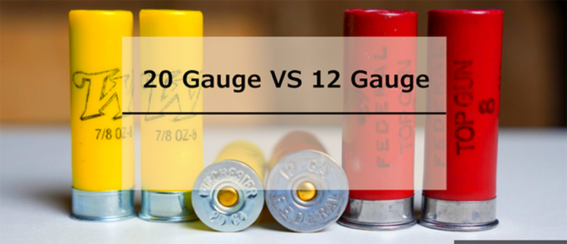 12 Gauge And 20 Gauge Ammo Comparison
