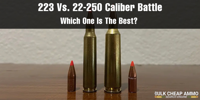 223 Vs. 22-250 Caliber Battle - Which One Is The Best?