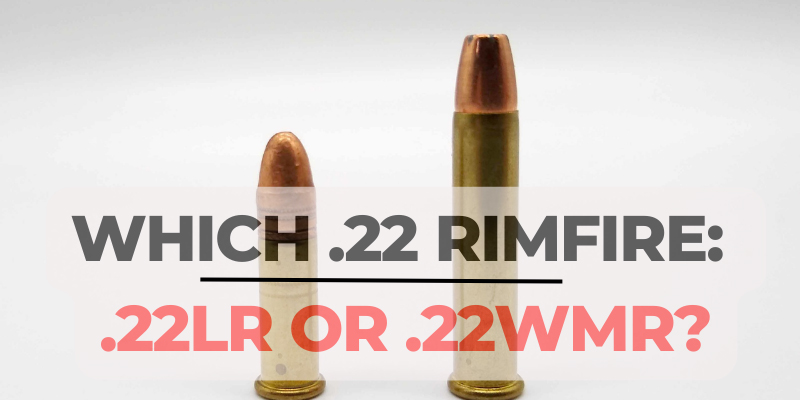 Which .22 Rimfire Cartridge: 22 wmr vs 22lr?