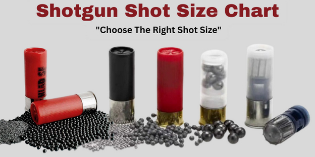 Shotgun Shot Size Chart - Guide To Choose The Right Shot