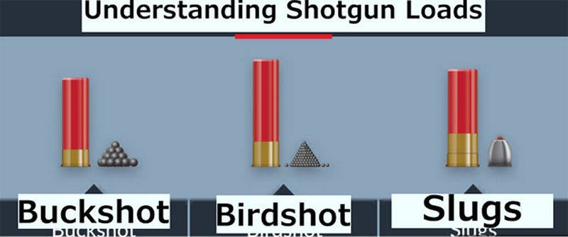 Understanding Different 12-Gauge Shotgun Load Types - Wideners