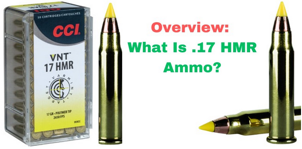 Overview- WHAT IS .17 HMR?