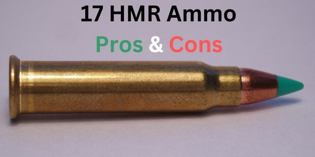 Pros & Cons Of 17 HMR Ammo