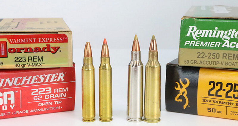 223 Vs. 22-250: Ammunition Availability and Cost
