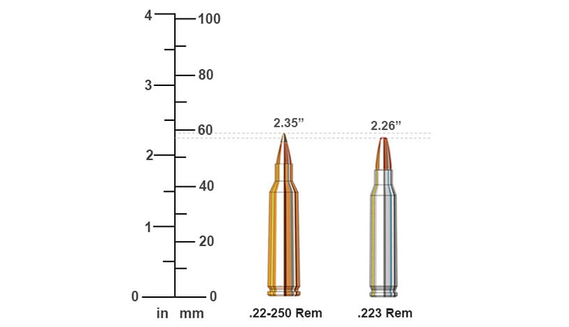 223 Vs. 22-250: Comparison Of Cartridge Specifications
