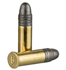 22LR Ammo