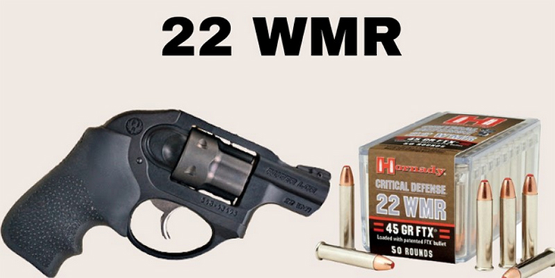 Head to Head: .22 LR vs. .22 WMR