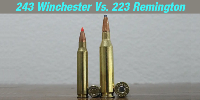 243 Winchester Vs. 223 Remington Ammo Specifications