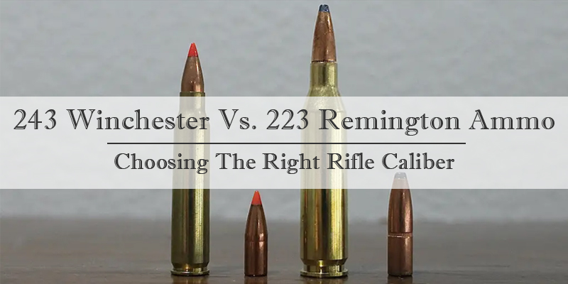 243 Winchester  Vs. 223 Remington Ammo
