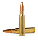 .308 Winchester