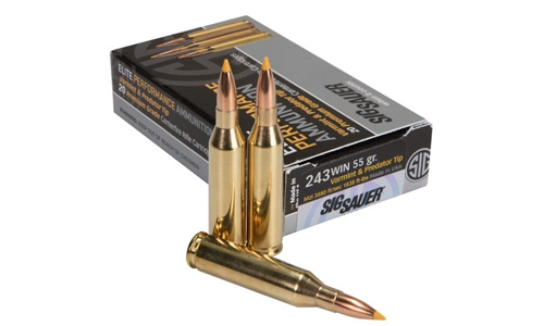 .243 Winchester Ammo