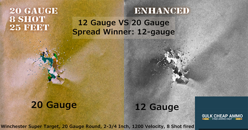 12 Gauge vs. 20 Gauge: Range and Spread