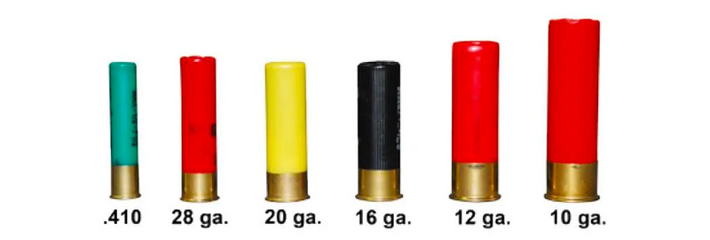 Shotgun Shell Sizes