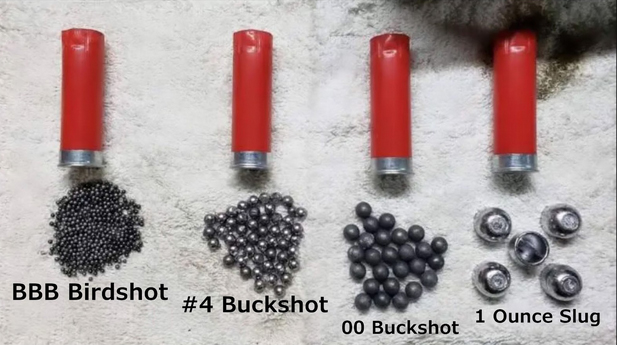 Shotgun Shell Sizes