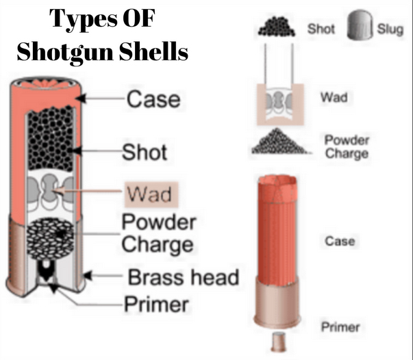 Types of Shotgun Shells