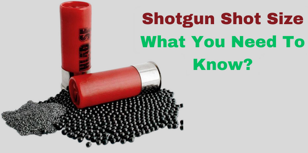 Shotgun Shot Size Basic Concepts