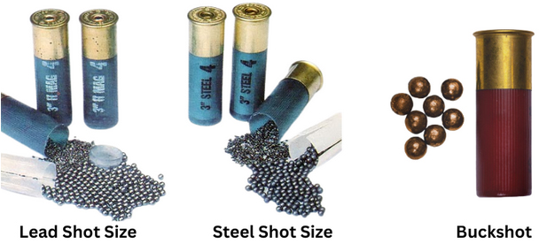Types of Shotgun Shot Sizes By Material