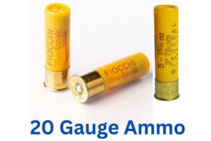 20 Gauge Ammo