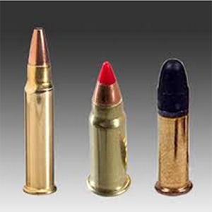 22LR Ammo