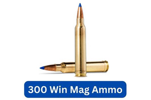 300 Win Mag Ammo