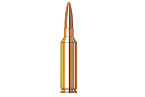 6mm Creedmoor Ammo