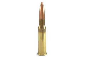 7.62x54R Ammo