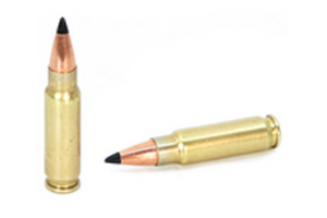 Bullet Type and Availability