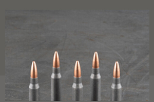 Bullet Type and Availability