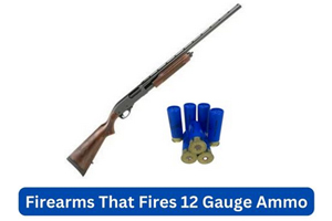 Common Firearms That Fires 12 Gauge Ammo