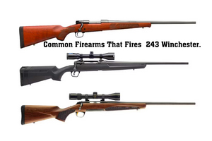 Common Firearms That Fires 243 Winchester