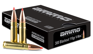 Common Firearms That Fires 300 blackout ammo