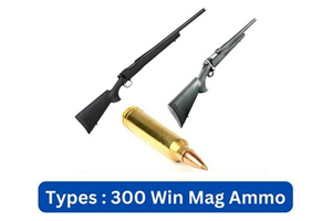 Common Firearms That Fires 300 Win Mag Ammo