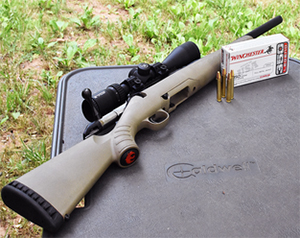 Common Firearms That Fires 350 Legend Ammo