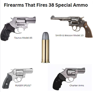 Common Firearms That Fires  38 Special Ammo