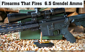 Common Firearms That Fires  6.5 Grendel Ammo