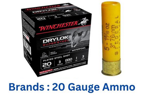 Most Popular 20 Gauge Ammo Brands