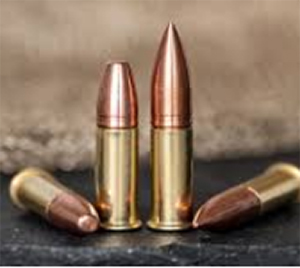 Most Popular 22LR Ammo Brands