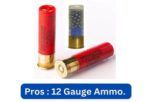 Pros of  12 Gauge Ammo