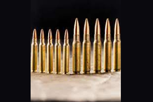 Pros of 223 Ammo