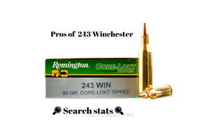 Pros of 243 Winchester