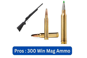 Pros of 300 Win Mag Ammo