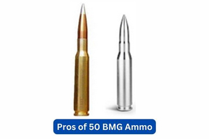 Pros of  50 BMG  Ammo