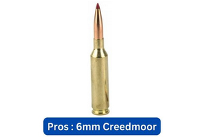 Pros of  6mm Creedmoor  Ammo