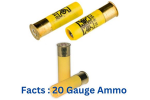 Quick Facts of 20 Gauge Ammo