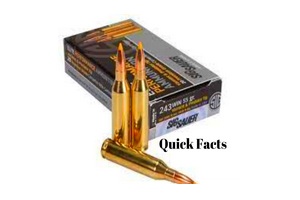 Quick Facts of 243 Win Ammo