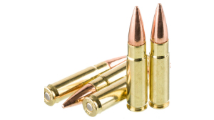 Quick Facts of 300 blackout ammo